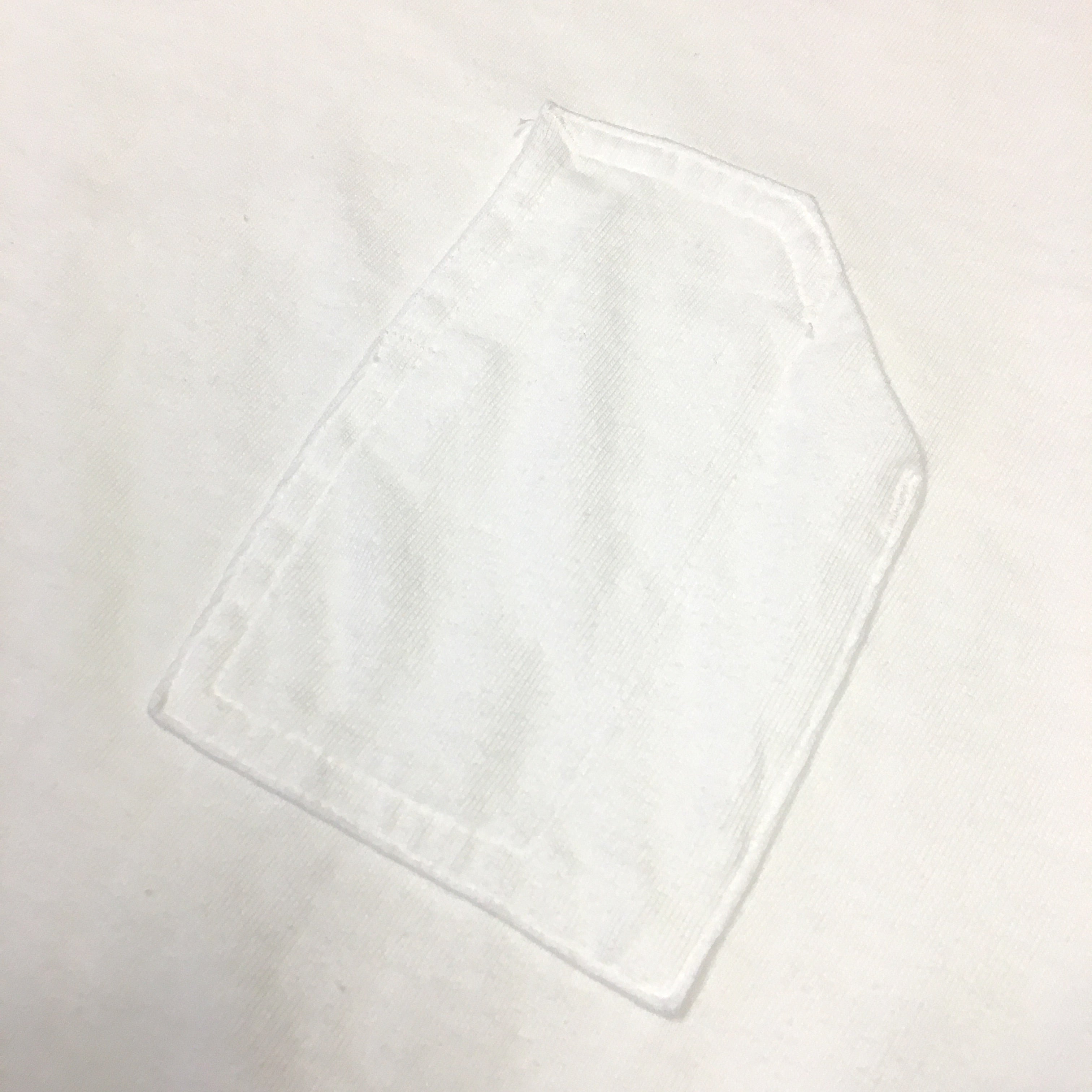 #3703-2 1106 Tee L/S : cotton jersey
