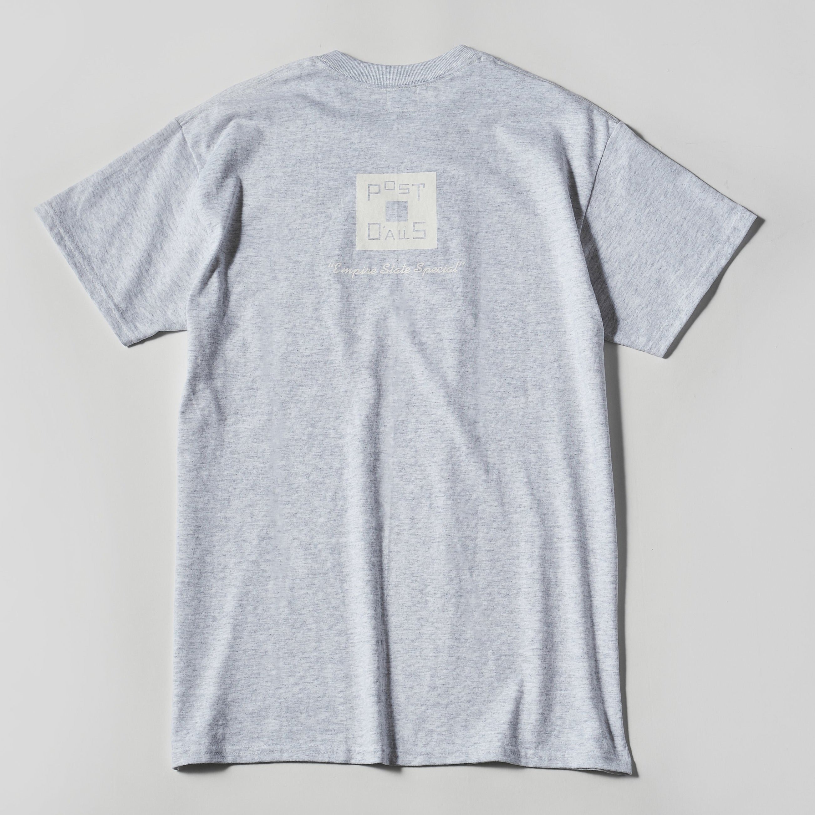 #3006 Square Donut Pocket Tee : ash x white