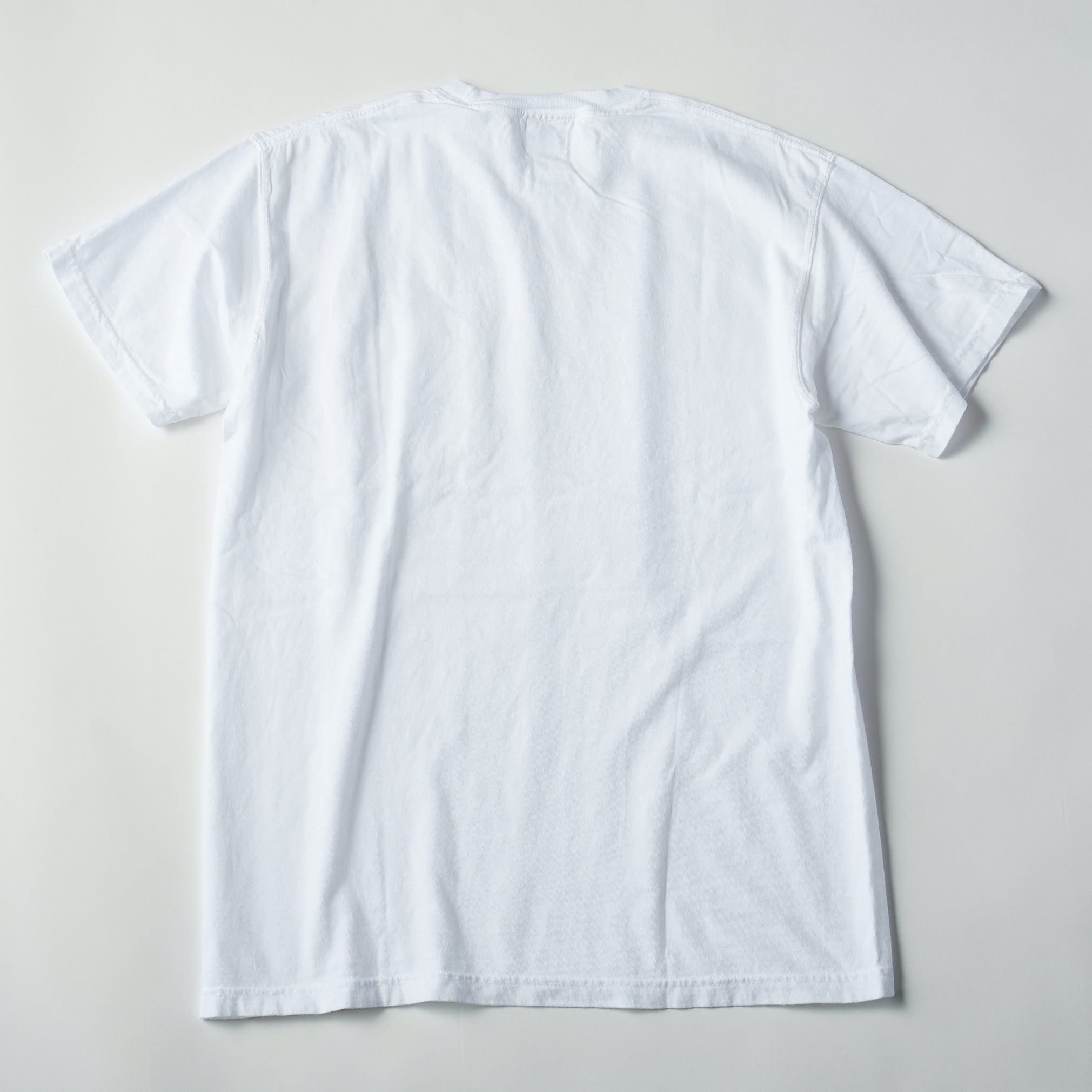 #3004 I like post pocket Tee A1 : pigment dyed cotton jersey white x grey