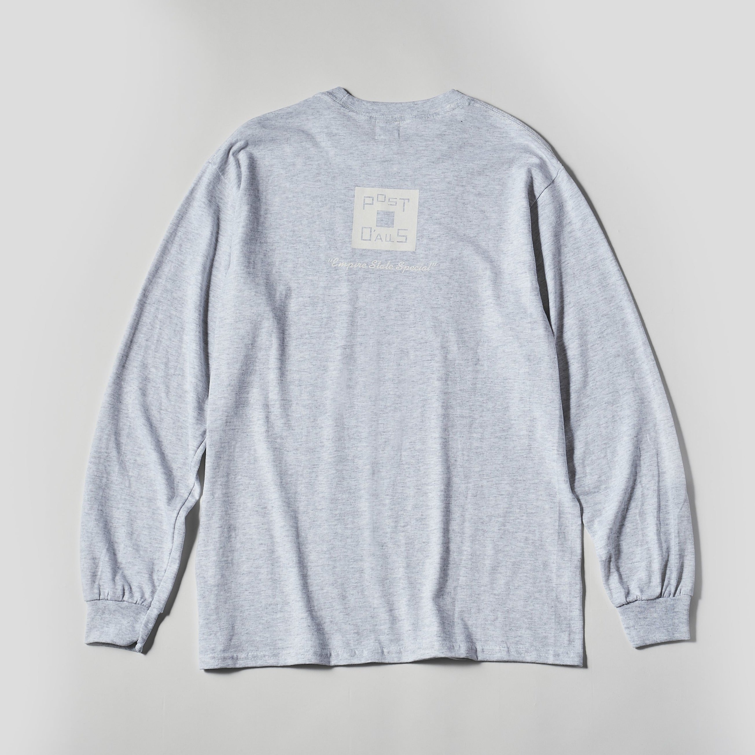 #3704 Square Donut L/S Tee: ash x white 